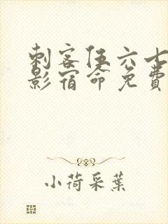 刺客伍六七之暗影宿命免费看