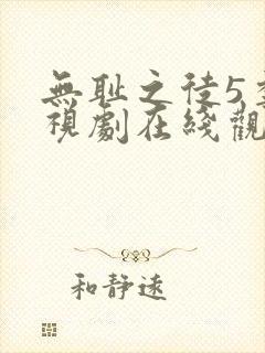 无耻之徒5季电视剧在线观看免费全集