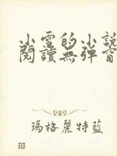 小雪的小说免费阅读无弹窗最新章节