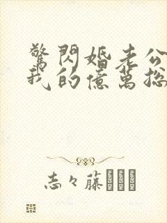 惊闪婚老公竟是我的亿万总裁