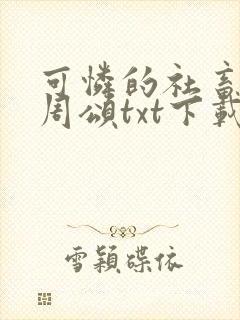 可怜的社畜商业周颂txt下载