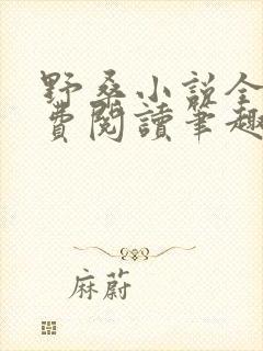 野桑小说全文免费阅读笔趣阁