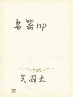 名器np封面