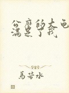 公么的大龟强大满足了我