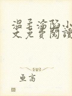 温柔沦陷小说全文免费阅读笔趣阁