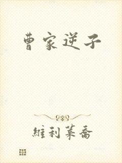 曹家逆子