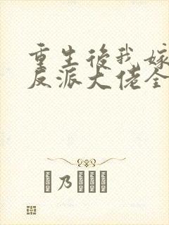 重生后我嫁给了反派大佬全文免费阅读封面