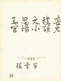 王思文程奕雪的官场小说免费阅读