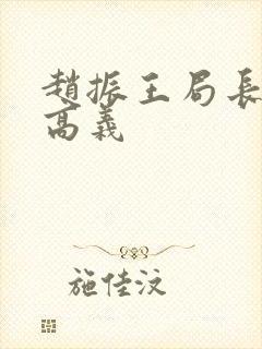 赵振王局长王乙高义