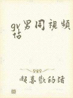 gv男同视频网站封面