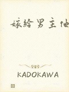 嫁给男主他爸爸封面