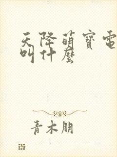 天降萌宝电视剧叫什么