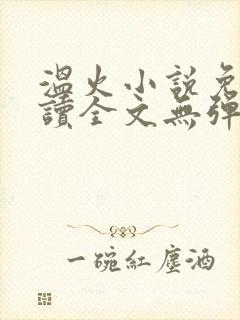 温火小说免费阅读全文无弹窗封面