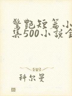 惊艳短篇小说合集500小说金