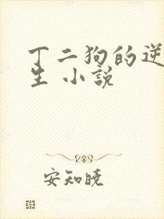 丁二狗的逆袭人生 小说封面