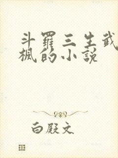 斗罗三生武魂叶枫的小说