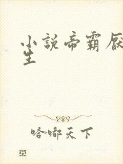 小说帝霸厌笔萧生