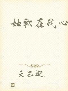 她软在我心上封面
