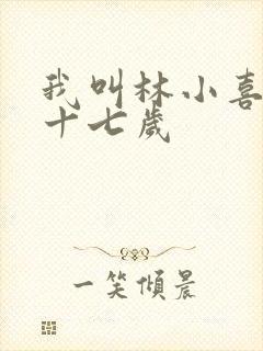 我叫林小喜今年十七岁