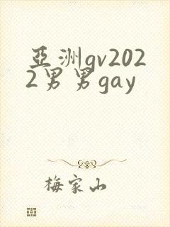 亚洲gv2022男男gay