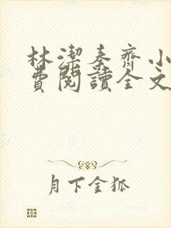 林洁秦齐小说免费阅读全文最新章节