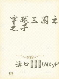 穿越三国之袁绍之子封面