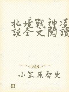 北境战神凌天小说全文阅读