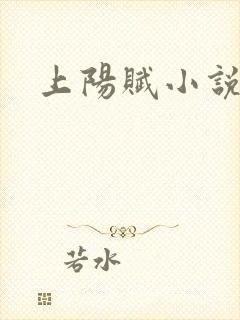 上阳赋小说封面