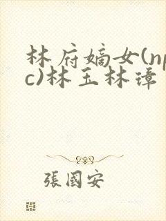 林府嫡女(npc)林玉林璋