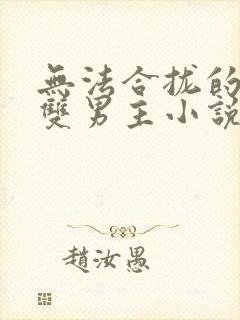 无法合拢的总裁双男主小说