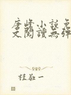 唐峰小说免费全文阅读无弹窗