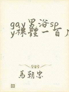 gay男浴spy裸体一百度