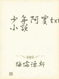 少年阿宾txt小说封面