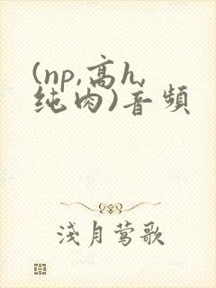 (np,高h,纯肉)音频