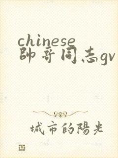 chinese帅哥同志gv封面