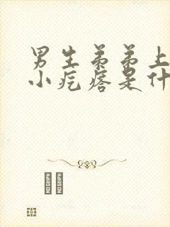 男生弟弟上长了小疙瘩是什么原因