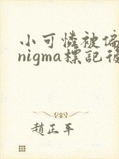 小可怜被偏执enigma标记后小说免费