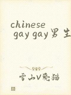 chinese gay gay男生互操网站