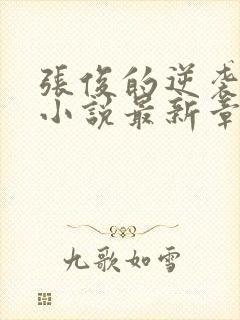 张俊的逆袭之路小说最新章节