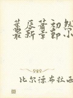 叶辰萧初然免费最新章节小说