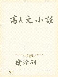 高h文小说