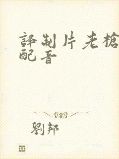 译制片老枪国语配音