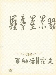 国产男男gay体育生小说封面