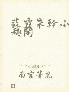 苏霞朱干小说笔趣阁