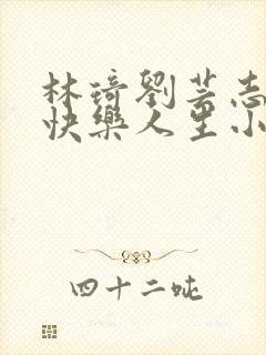 林琦刘芸志刚的快乐人生小说笔趣阁