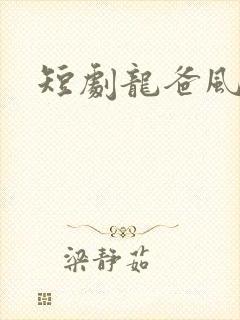 短剧龙爸风云