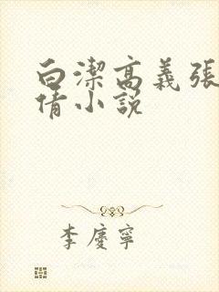 白洁高义张敏孙倩小说封面