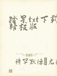 踏星txt下载精校版