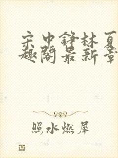 宋中铮林夏移笔趣阁最新章节