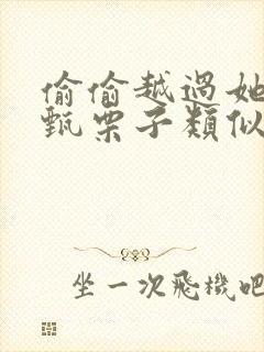 偷偷越过她by甄栗子类似小说